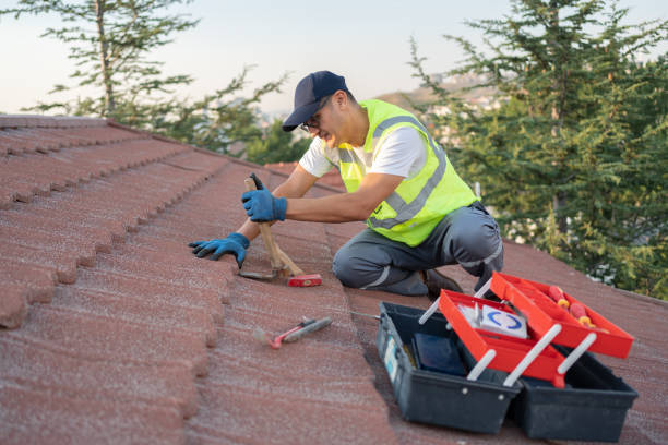 Best Roof Leak Repair  in Hull, IA