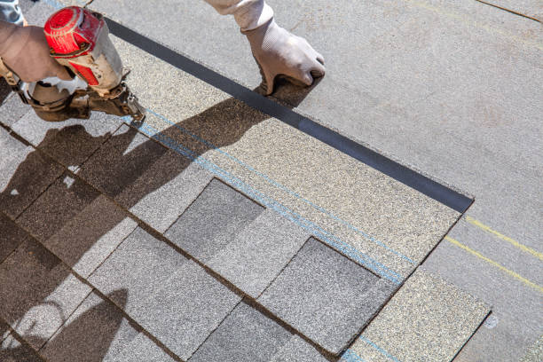 Best Metal Roofing Contractor  in Hull, IA